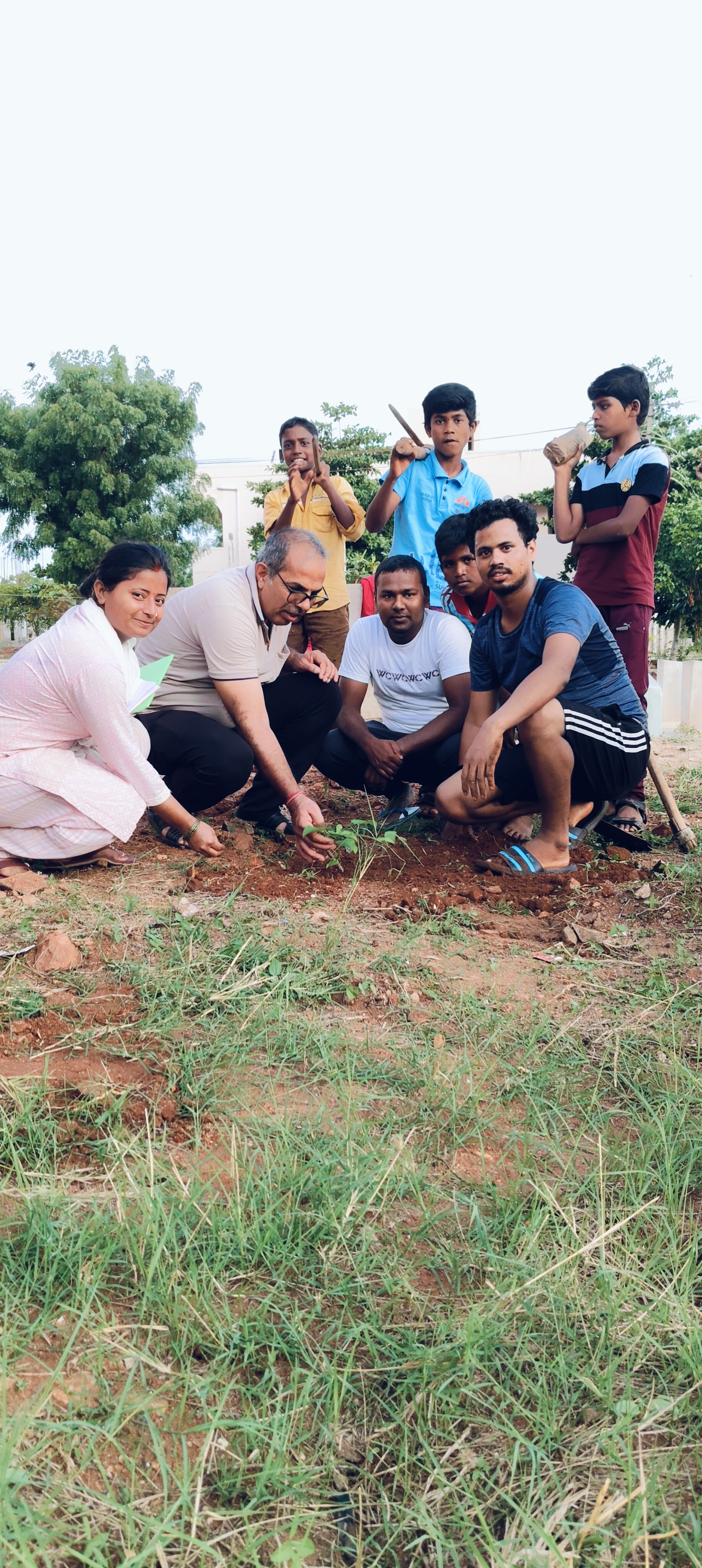 Tree Plantation in School Campus